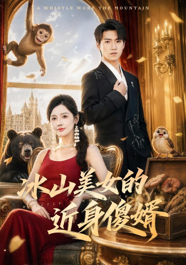 冰山美女的近身傻婿天天