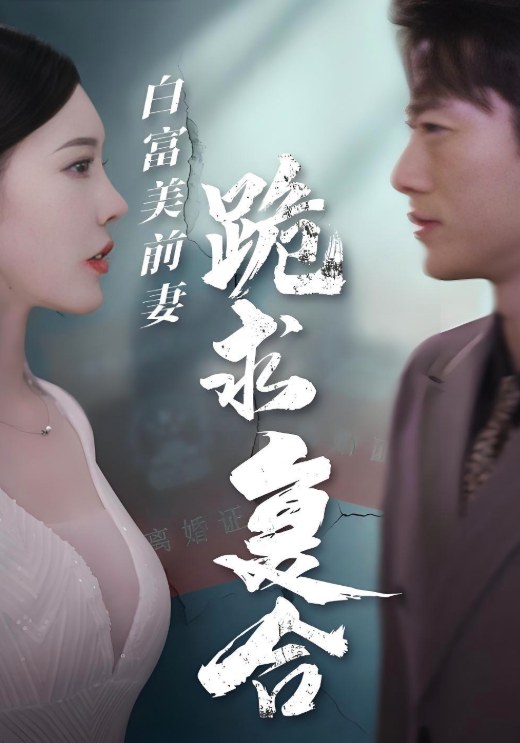 白富美前妻跪求复合张子安