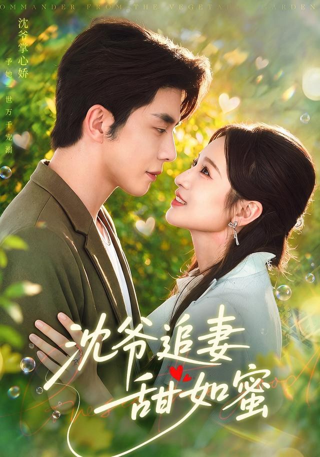 沈爷追妻甜如蜜戚羽佳