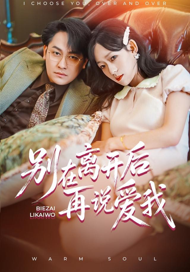 别在离开后再说爱我罗雯