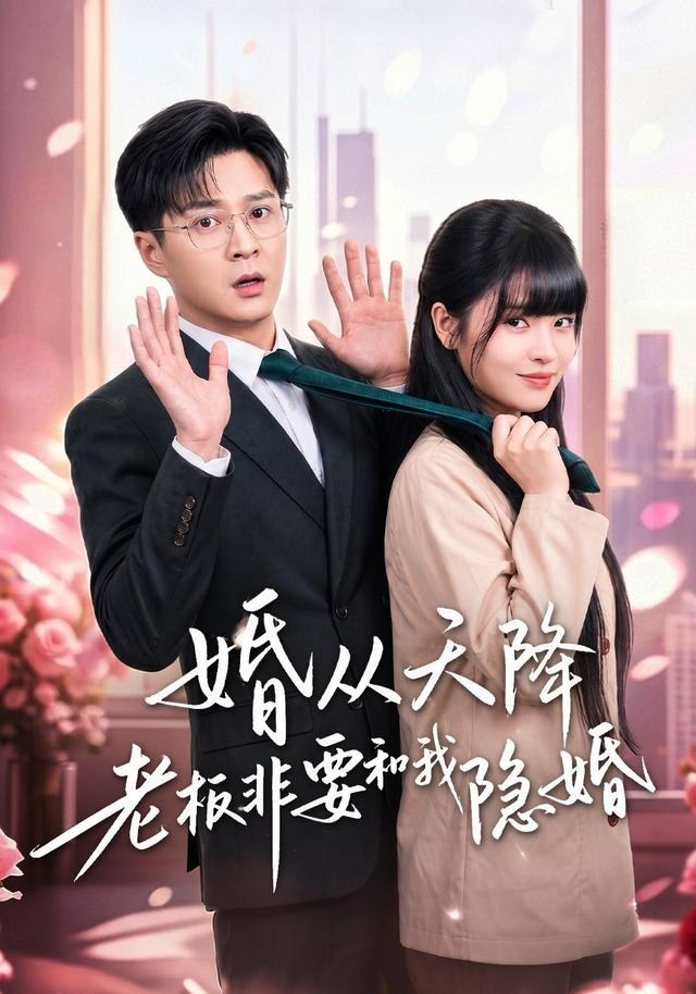 婚从天降老板非要和我隐婚邓靖