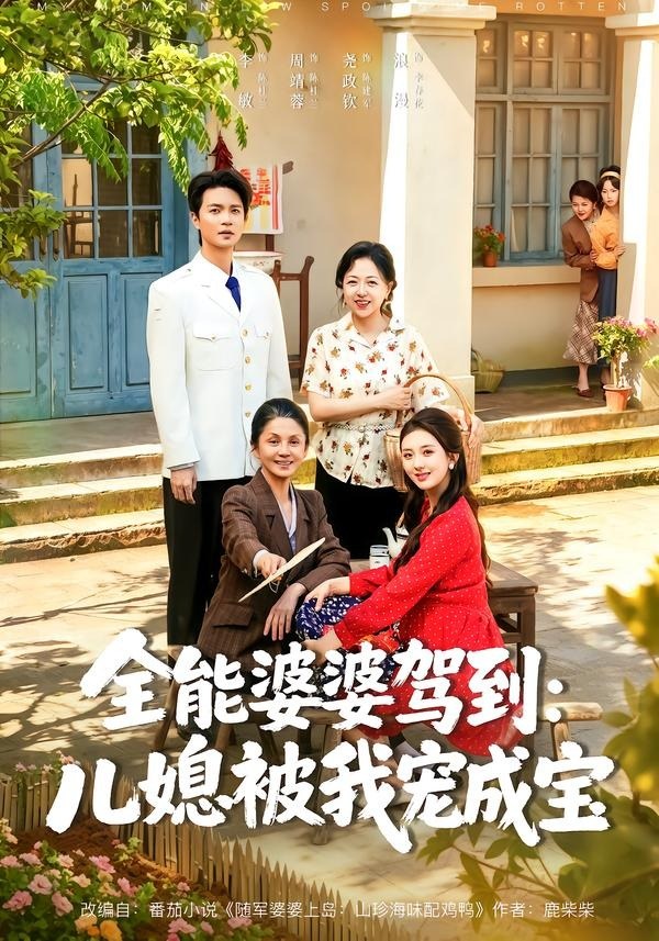 全能婆婆驾到